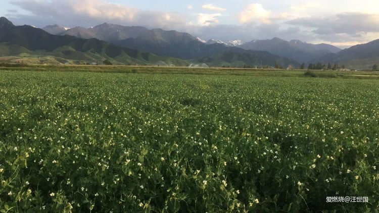 奔跑在希望的原野上——吉木萨尔天山马拉松靠背喀纳斯168