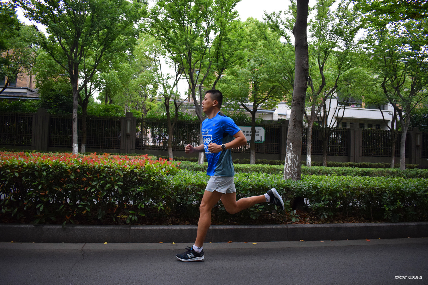 Zante，NB的进阶 || NB Fresh Foam Zante Pursuit跑鞋