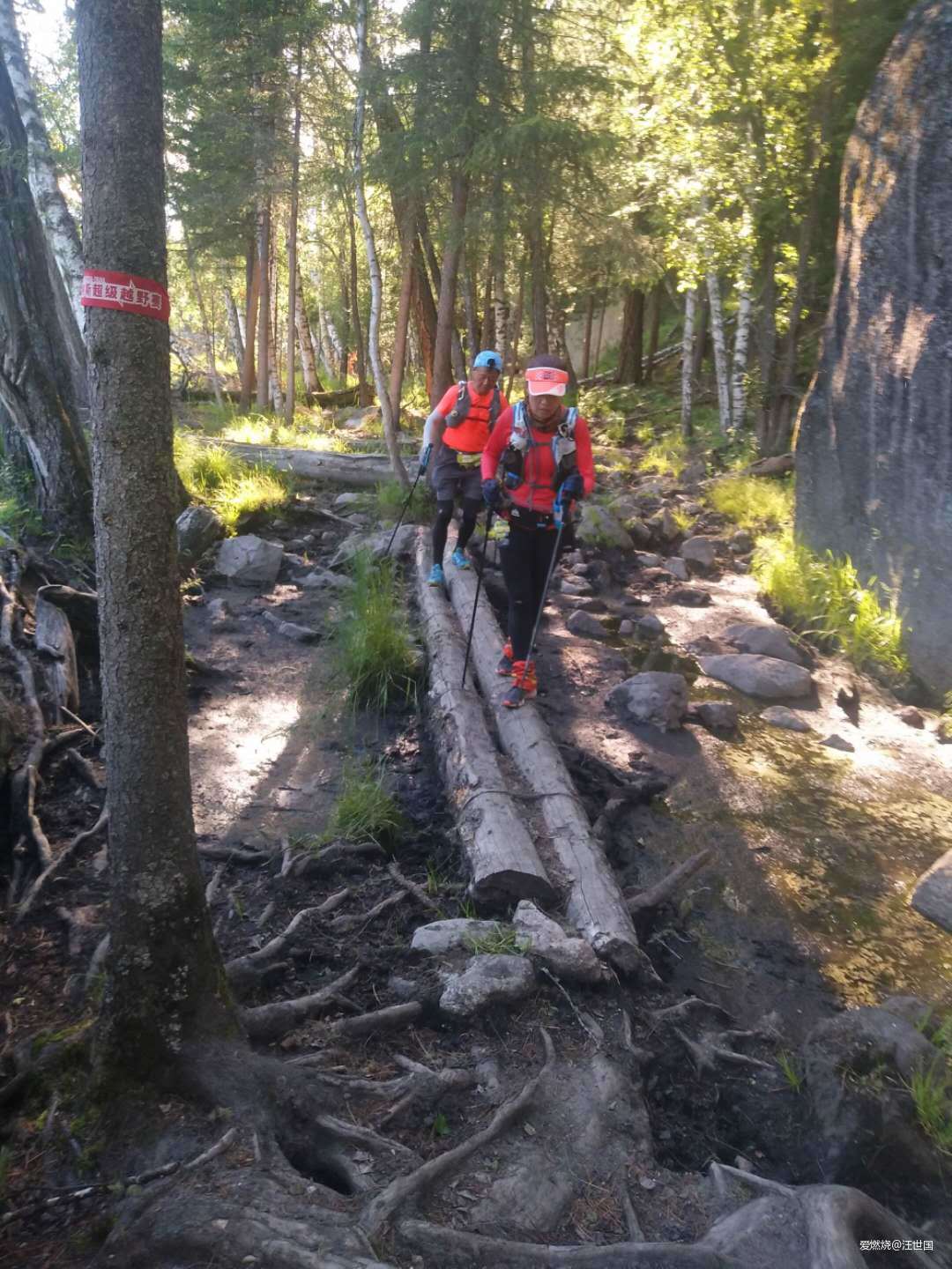 喀纳斯１６８ 在花海中放飞