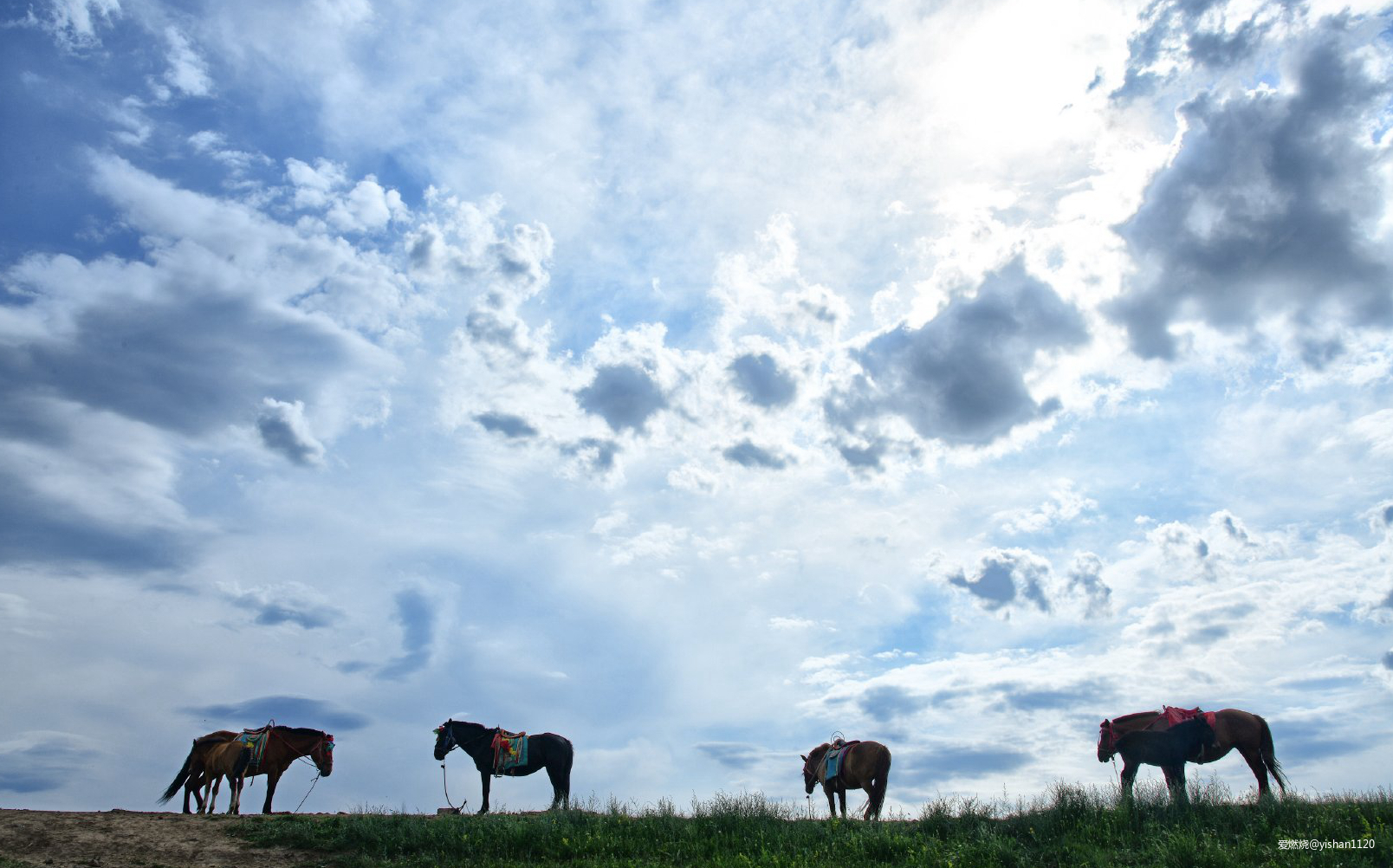 此爱隔山海 山海亦可平          ---- 万花会之2019越山向海人车接力中国赛记