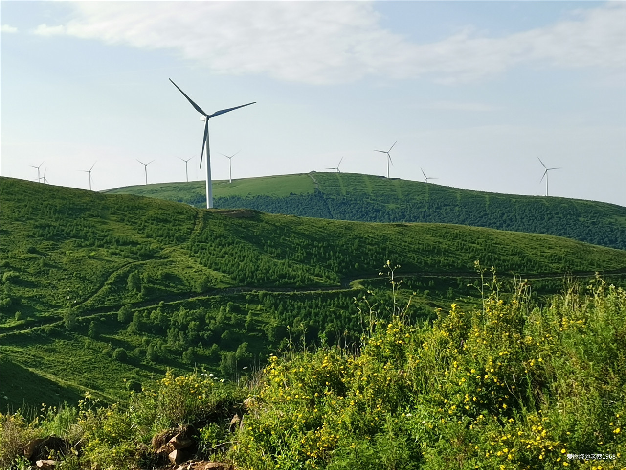 繁花似锦张北路， 披星戴月崇礼行 高龄跑渣渣2019年崇礼168流水赛记