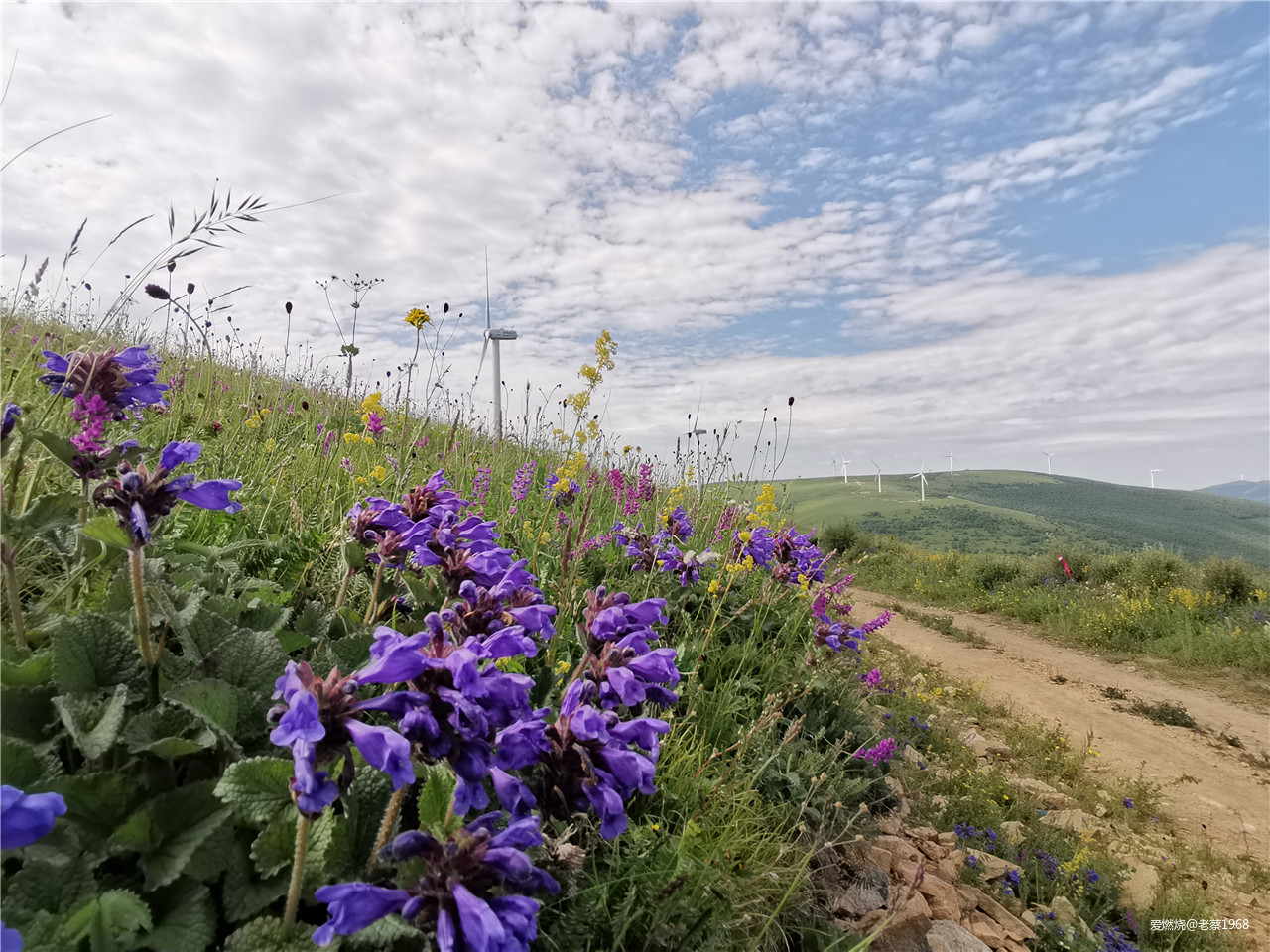 繁花似锦张北路， 披星戴月崇礼行 高龄跑渣渣2019年崇礼168流水赛记