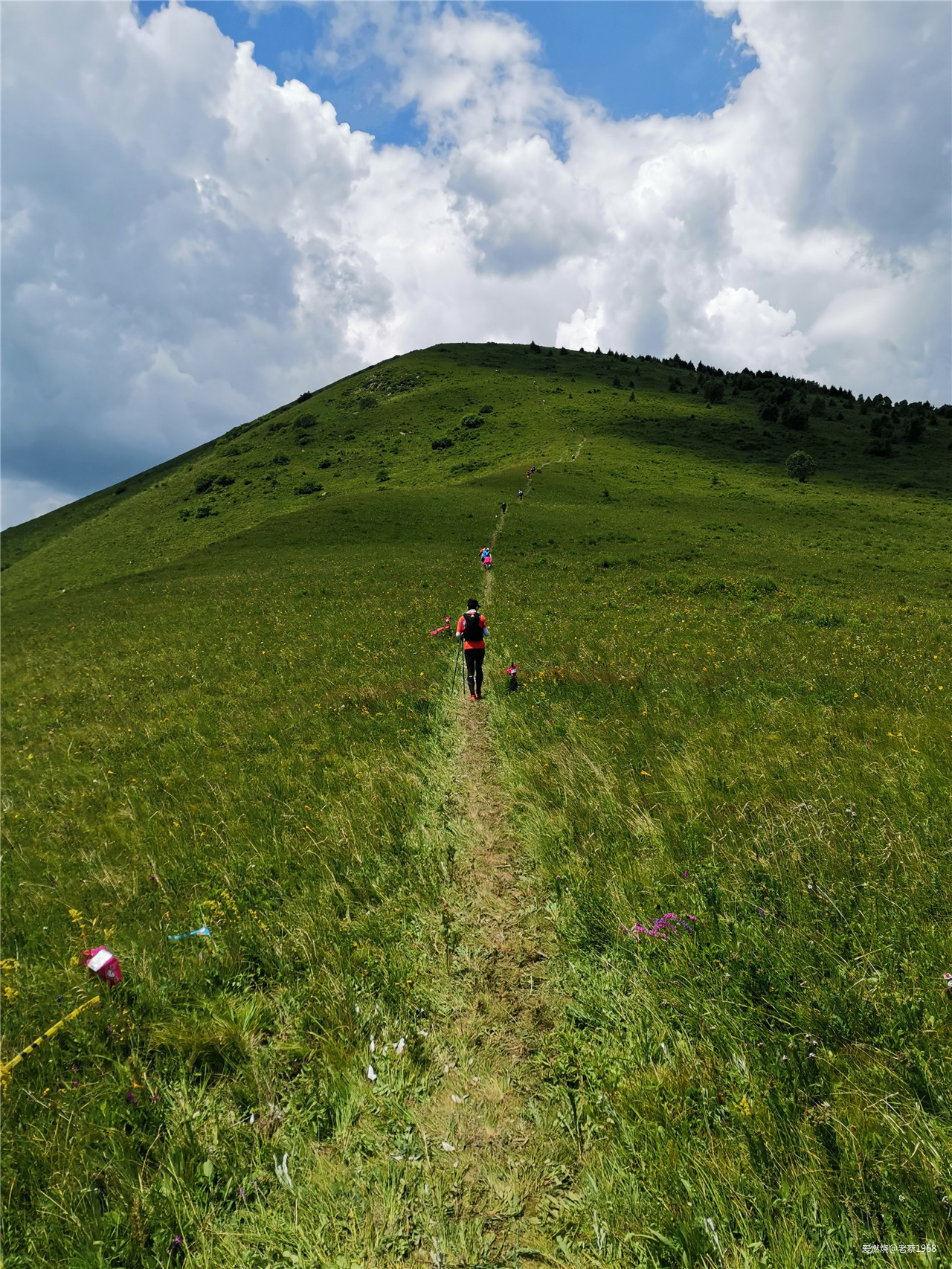 繁花似锦张北路， 披星戴月崇礼行 高龄跑渣渣2019年崇礼168流水赛记