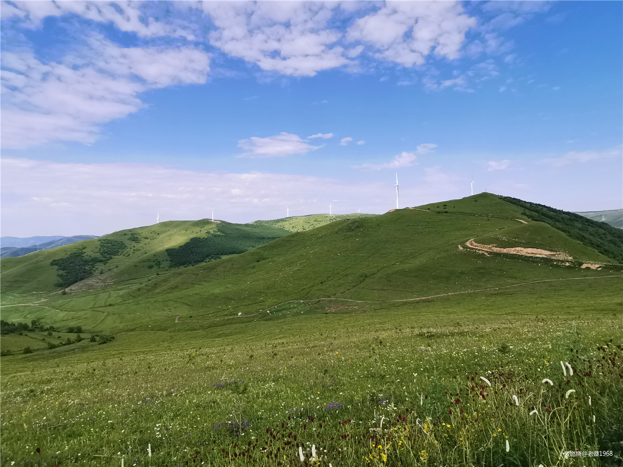 繁花似锦张北路， 披星戴月崇礼行 高龄跑渣渣2019年崇礼168流水赛记