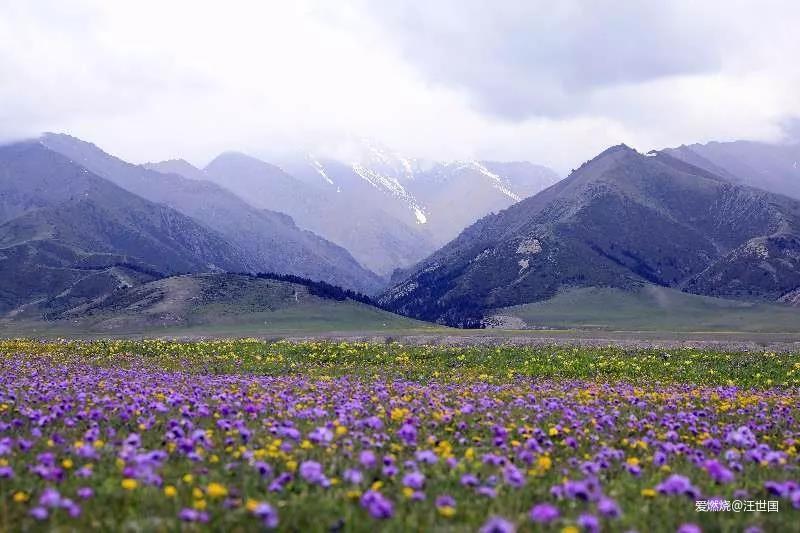 赛里木湖风光好  沿湖奔跑正当时