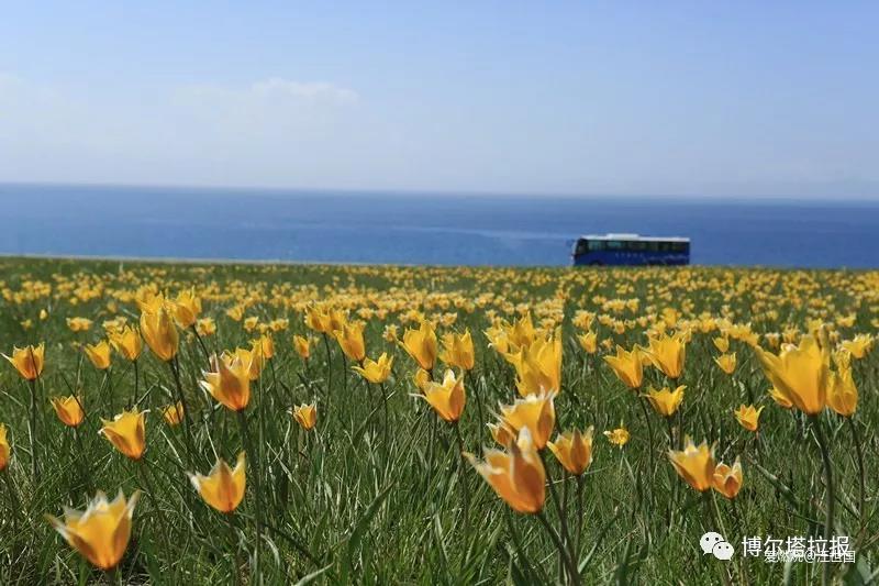 赛里木湖风光好  沿湖奔跑正当时
