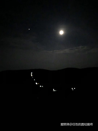 我的崇礼，给人生一次崇高的敬礼！！！