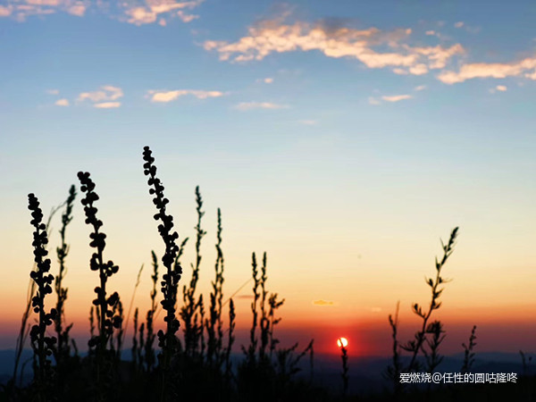 我的崇礼，给人生一次崇高的敬礼！！！