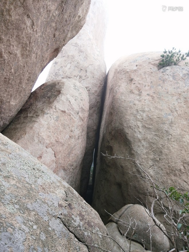 看“天书”，赏“百合”，天茶顶问茶，穿越迷魂涧