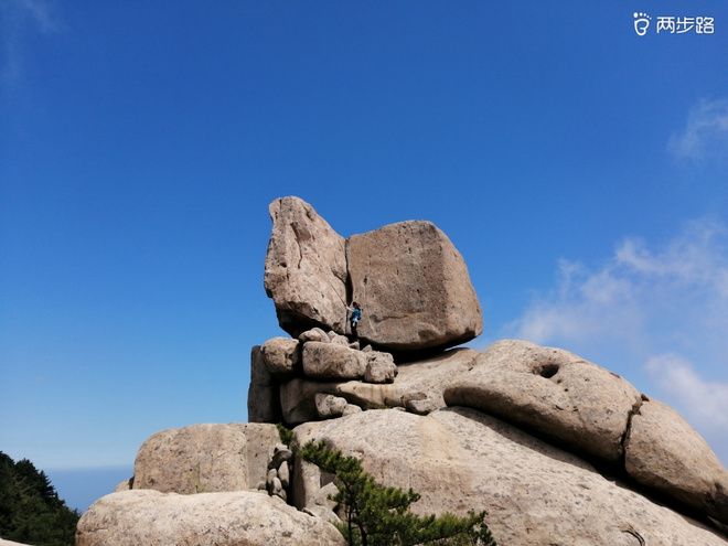 看“天书”，赏“百合”，天茶顶问茶，穿越迷魂涧