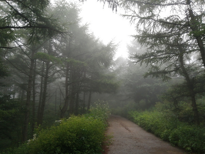 巨峰公路跑，“挑战”利奇马