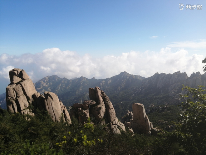 看“天书”，赏“百合”，天茶顶问茶，穿越迷魂涧