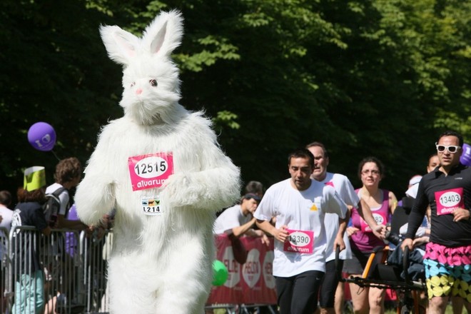 当兔子的人都是在自讨苦吃吗？