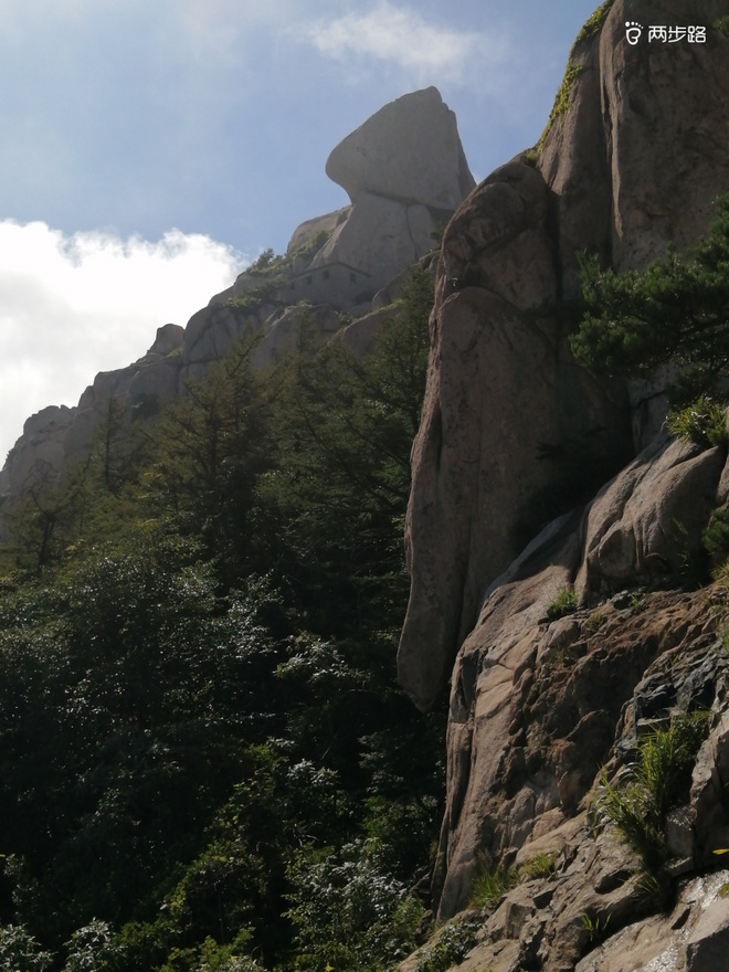 看“天书”，赏“百合”，天茶顶问茶，穿越迷魂涧