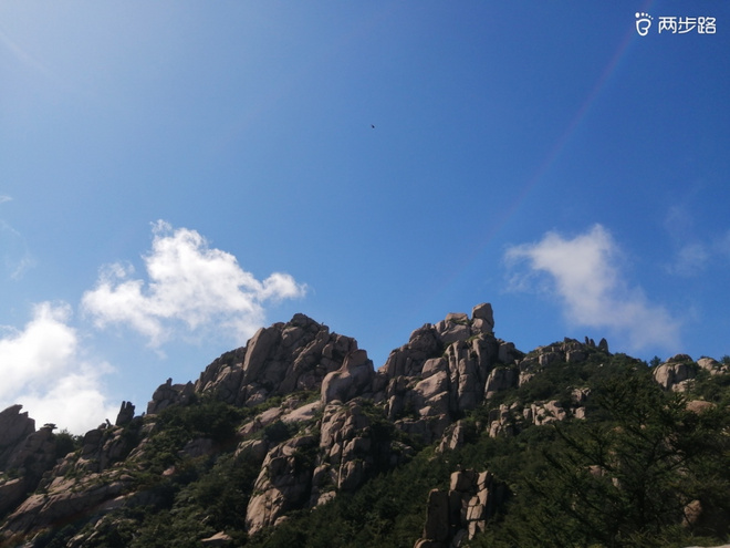 看“天书”，赏“百合”，天茶顶问茶，穿越迷魂涧