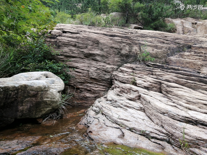 看“天书”，赏“百合”，天茶顶问茶，穿越迷魂涧