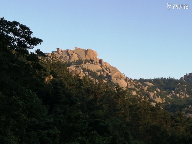 看“天书”，赏“百合”，天茶顶问茶，穿越迷魂涧