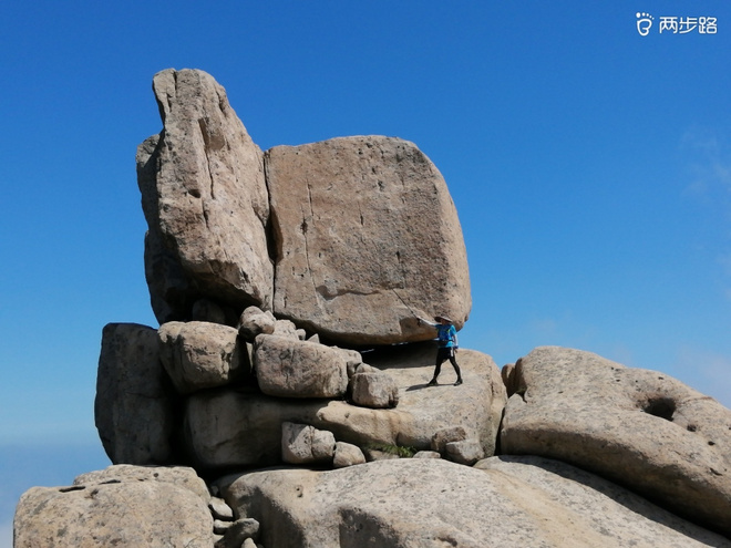 看“天书”，赏“百合”，天茶顶问茶，穿越迷魂涧