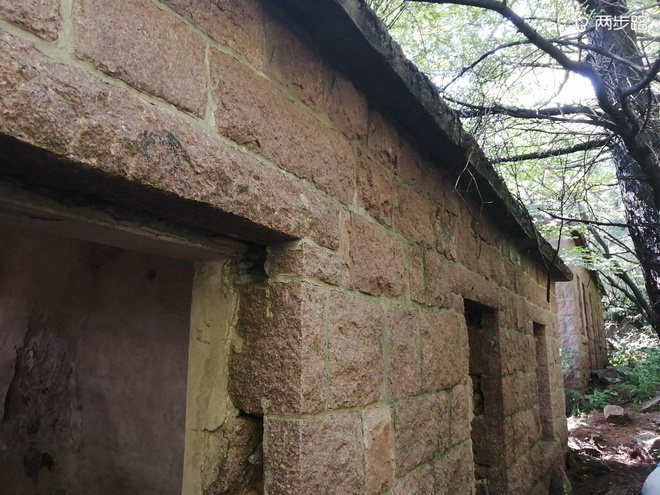 看“天书”，赏“百合”，天茶顶问茶，穿越迷魂涧