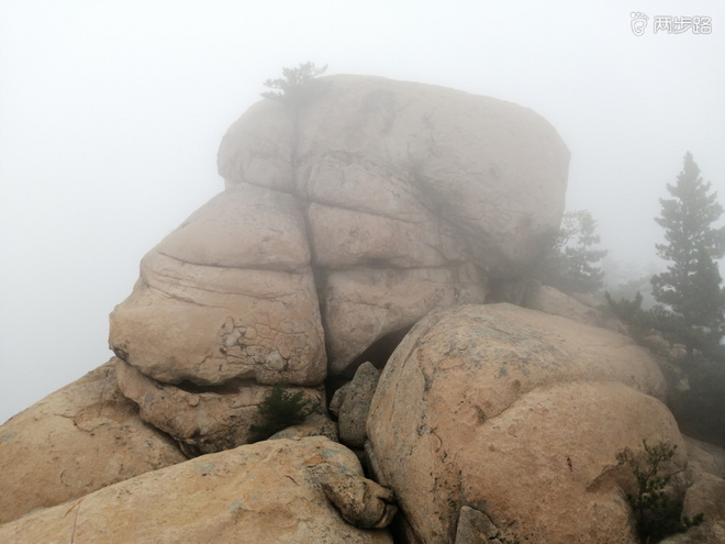 看“天书”，赏“百合”，天茶顶问茶，穿越迷魂涧