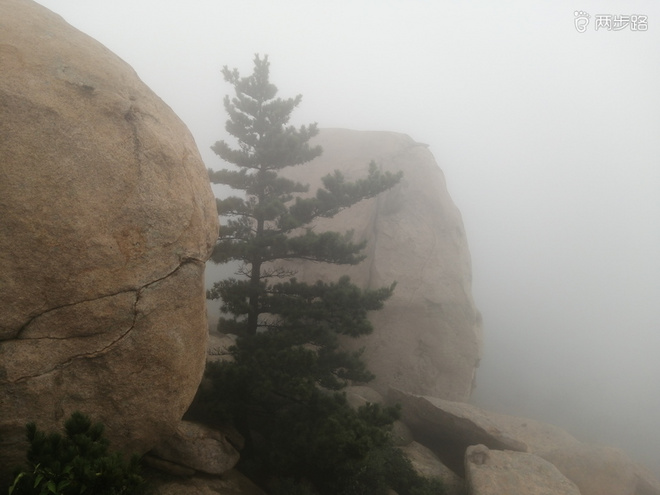 看“天书”，赏“百合”，天茶顶问茶，穿越迷魂涧