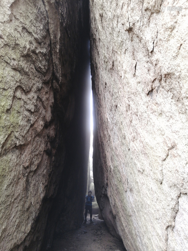 看“天书”，赏“百合”，天茶顶问茶，穿越迷魂涧