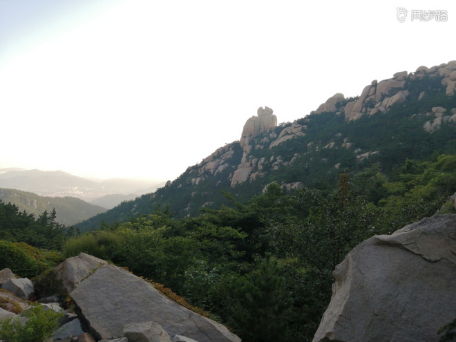 看“天书”，赏“百合”，天茶顶问茶，穿越迷魂涧