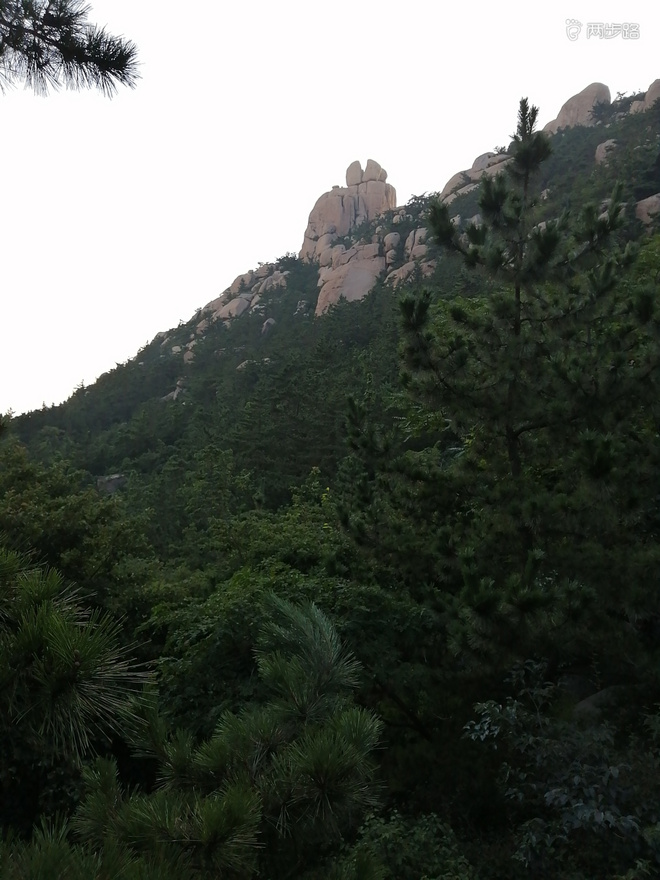 看“天书”，赏“百合”，天茶顶问茶，穿越迷魂涧