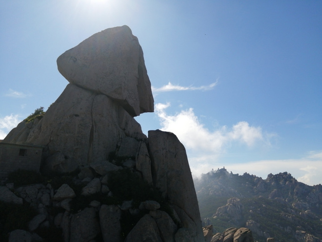 看“天书”，赏“百合”，天茶顶问茶，穿越迷魂涧