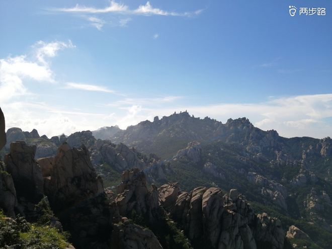 看“天书”，赏“百合”，天茶顶问茶，穿越迷魂涧