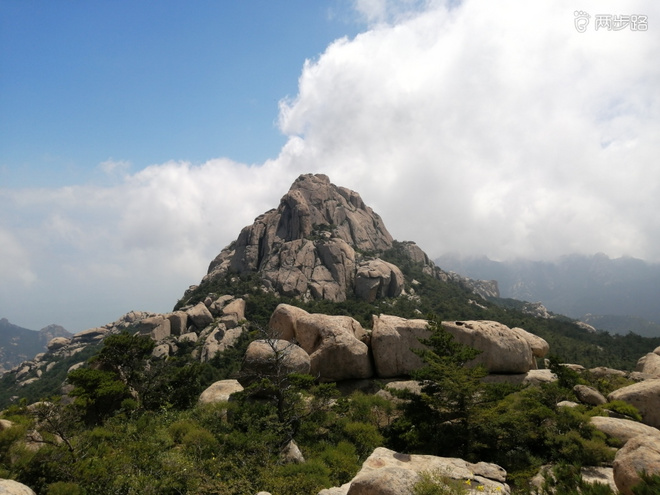 看“天书”，赏“百合”，天茶顶问茶，穿越迷魂涧
