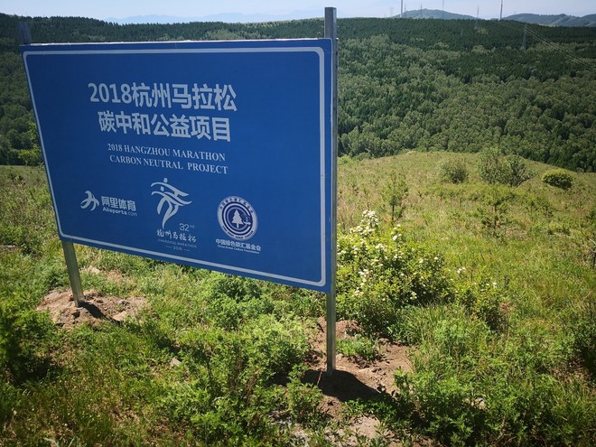 用跑步种绿树 杭马绿色公益报名开启