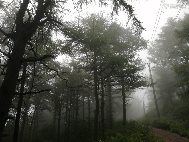 巨峰公路跑，“挑战”利奇马