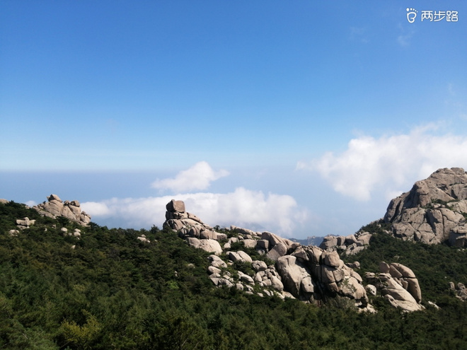 看“天书”，赏“百合”，天茶顶问茶，穿越迷魂涧