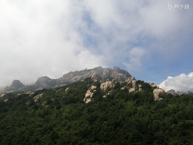 看“天书”，赏“百合”，天茶顶问茶，穿越迷魂涧