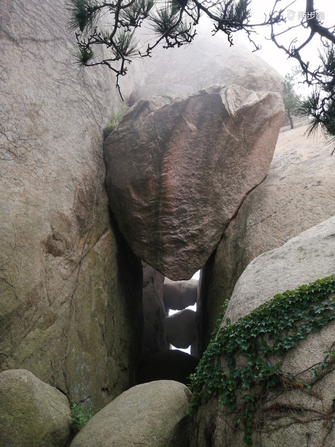 看“天书”，赏“百合”，天茶顶问茶，穿越迷魂涧