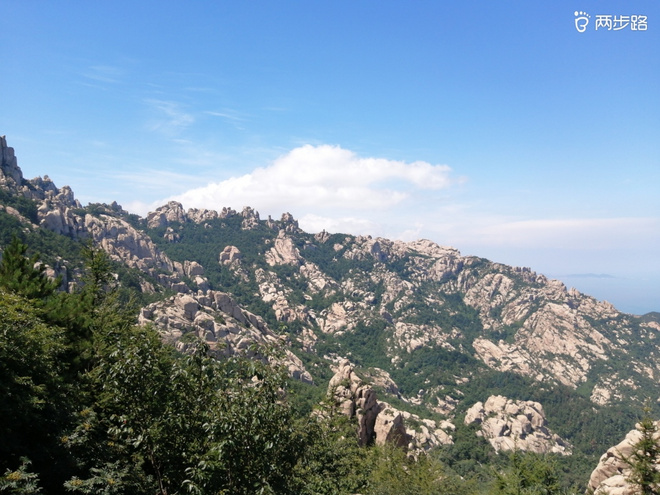 看“天书”，赏“百合”，天茶顶问茶，穿越迷魂涧