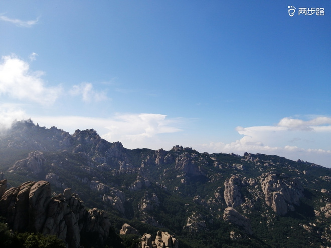 看“天书”，赏“百合”，天茶顶问茶，穿越迷魂涧