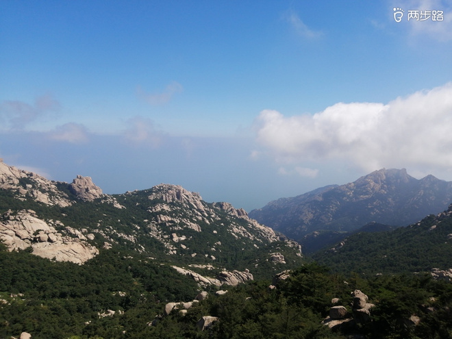 看“天书”，赏“百合”，天茶顶问茶，穿越迷魂涧