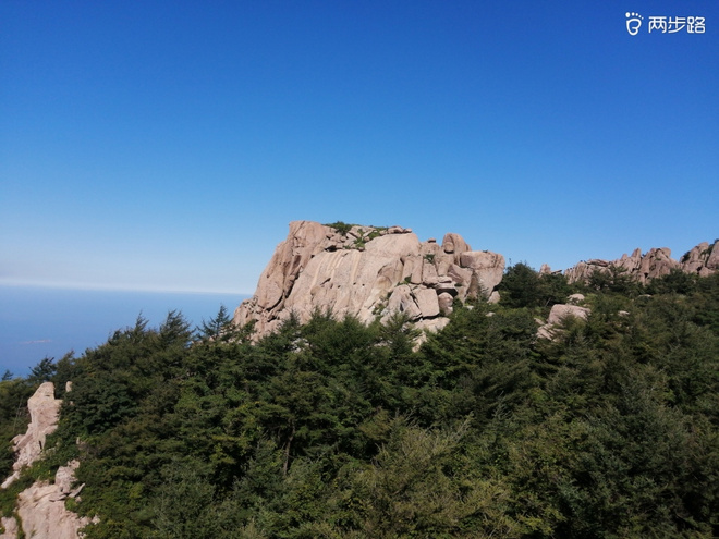 看“天书”，赏“百合”，天茶顶问茶，穿越迷魂涧