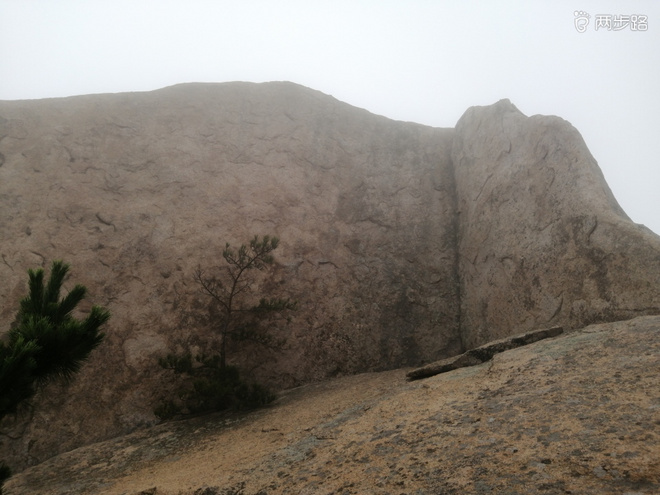 看“天书”，赏“百合”，天茶顶问茶，穿越迷魂涧