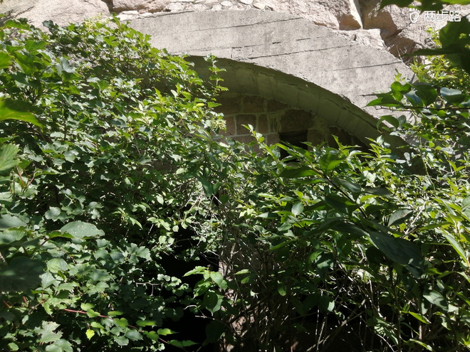 看“天书”，赏“百合”，天茶顶问茶，穿越迷魂涧