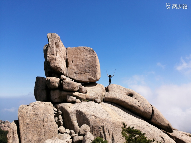 看“天书”，赏“百合”，天茶顶问茶，穿越迷魂涧