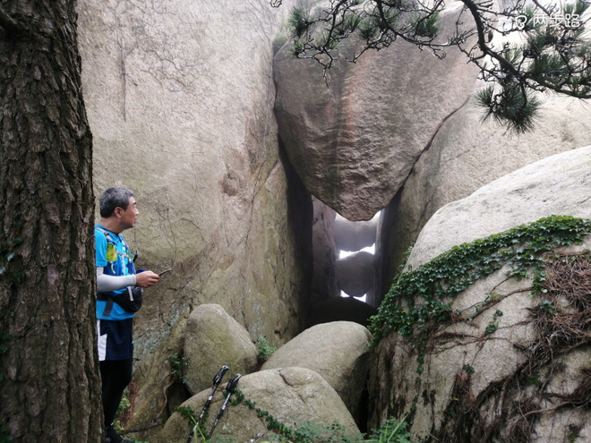 看“天书”，赏“百合”，天茶顶问茶，穿越迷魂涧