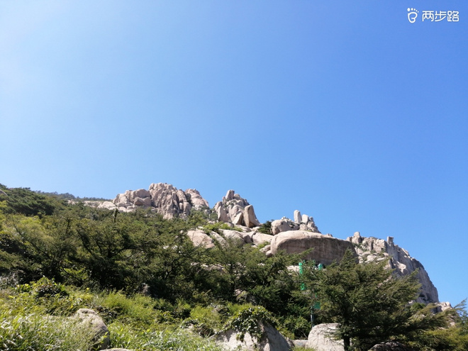 看“天书”，赏“百合”，天茶顶问茶，穿越迷魂涧