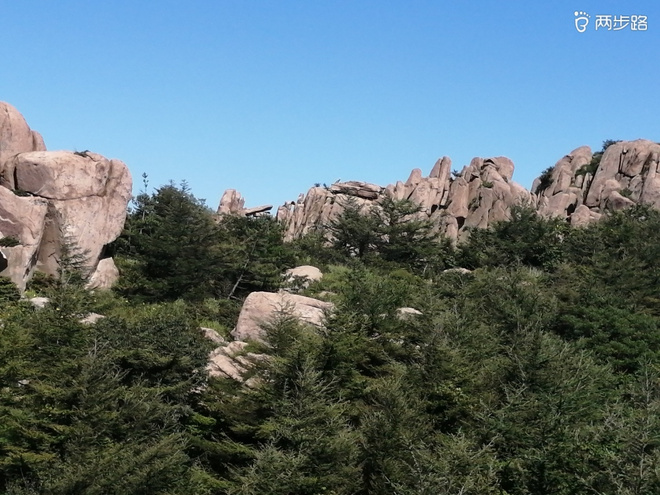 看“天书”，赏“百合”，天茶顶问茶，穿越迷魂涧