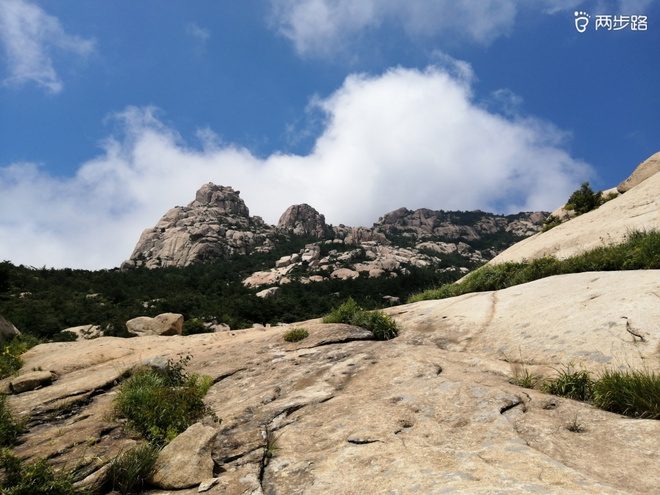 看“天书”，赏“百合”，天茶顶问茶，穿越迷魂涧