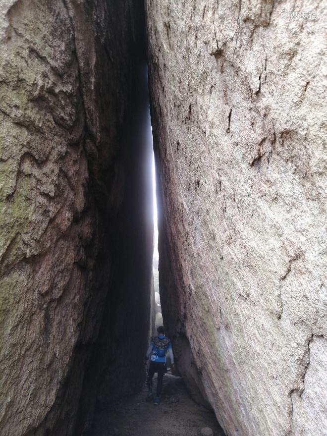 看“天书”，赏“百合”，天茶顶问茶，穿越迷魂涧