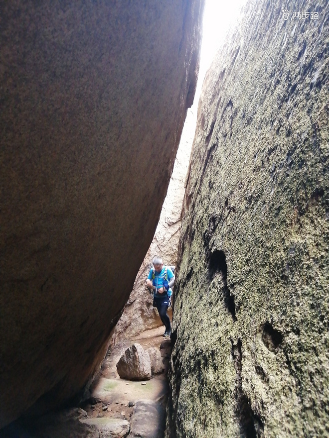 看“天书”，赏“百合”，天茶顶问茶，穿越迷魂涧