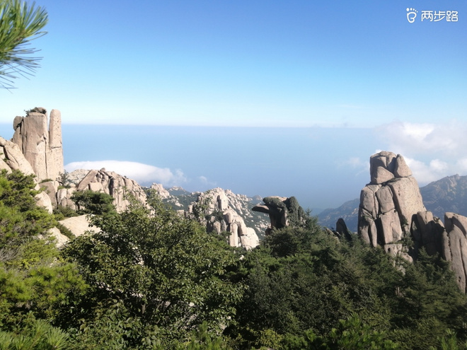 看“天书”，赏“百合”，天茶顶问茶，穿越迷魂涧